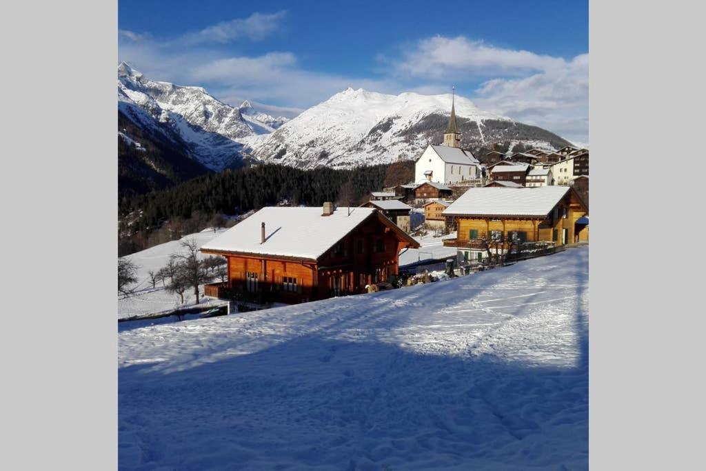 Chalet-Schuemli Maisonette Ernen Buitenkant foto